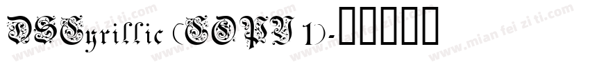 DSCyrillic (COPY 1)字体转换